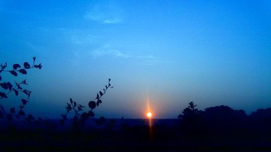 The Sunrise. Photo by Achal R Chauhan.