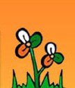 Trinamool Congress TMC symbol - twin flowers.