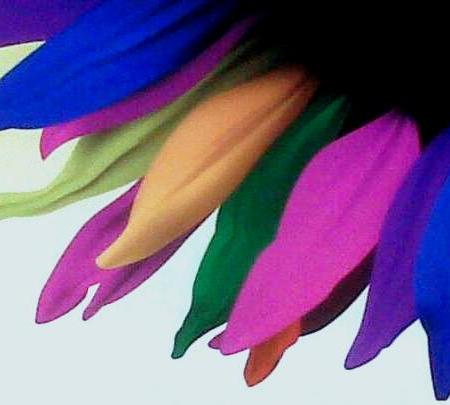 Colours And the Dreams © Neeraj Bhushan for Greater Voice [ neerajbhushan.com ]