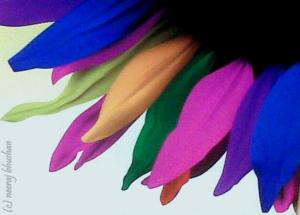 Colours And the Dreams © Neeraj Bhushan for Greater Voice [ neerajbhushan.com ]